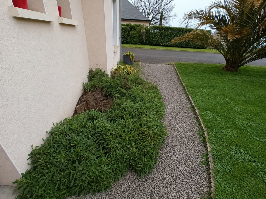 D'une allée laissée à l'abandon
